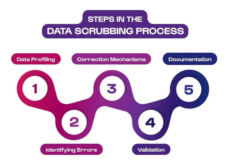 Steps in the Data Scrubbing Process 