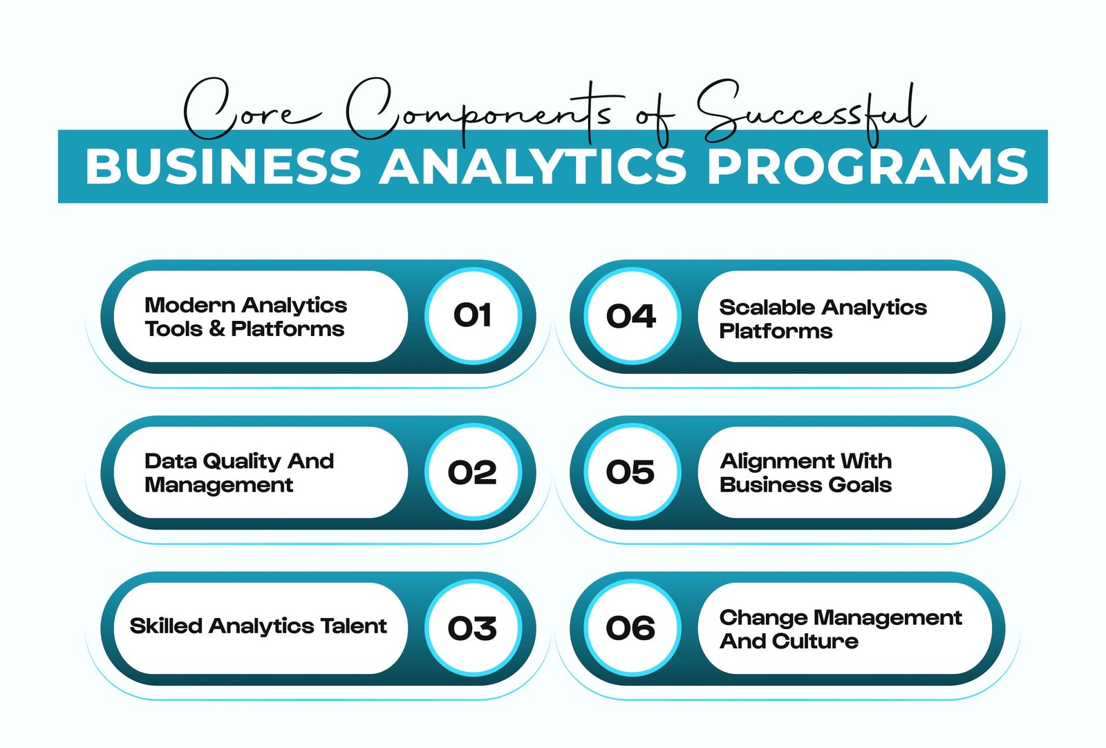 Core Components of Successful Business Analytics Programs